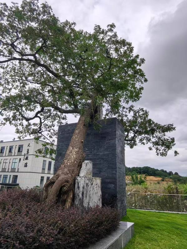 1759123715214995.jpg 3.jpg