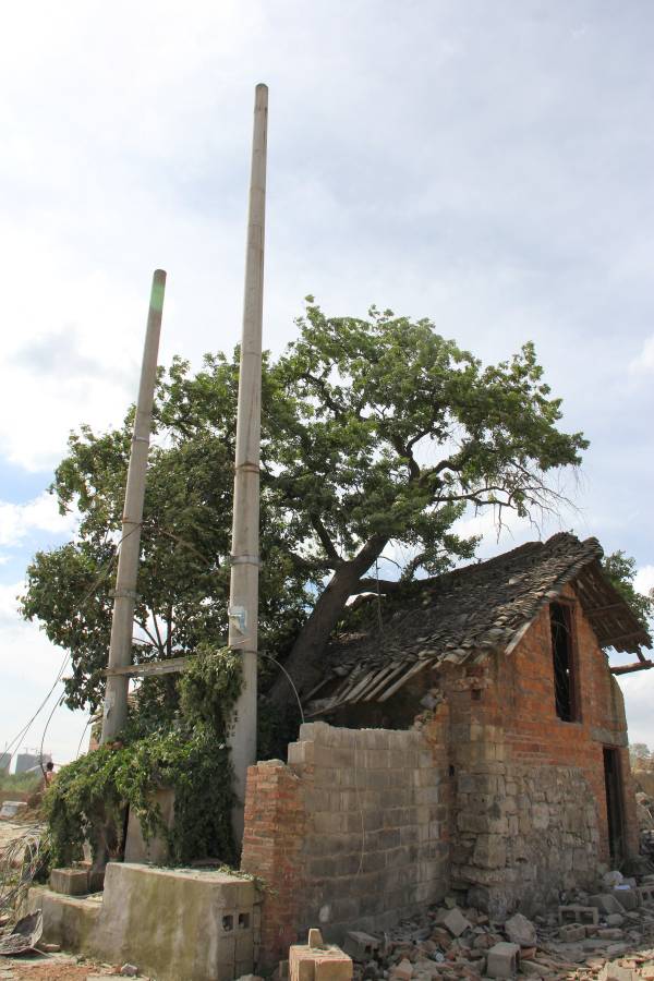 1759123725234975.jpg 4.jpg