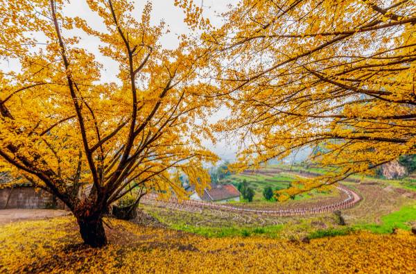 1759123739753010.jpg 5.jpg