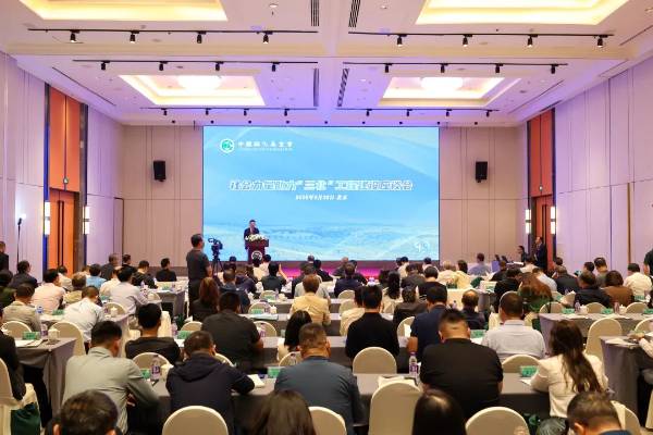 1759123849446798.jpg 6.jpg