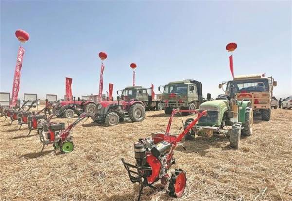 1759202603255528.jpg 2 (1).jpg