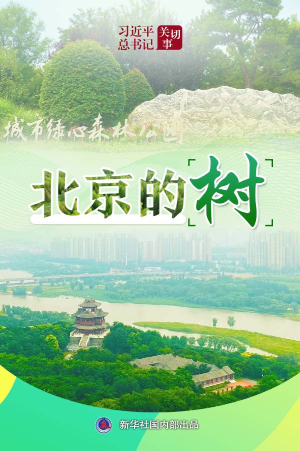 1759973518107018.jpg 1 (1).jpg