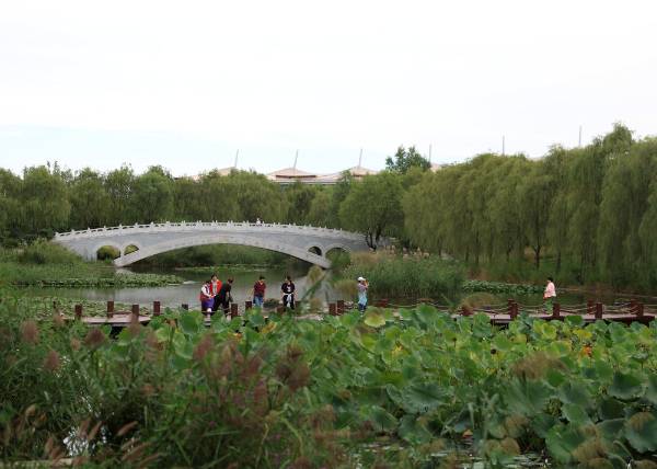 1759973598264728.jpg 3 (1).jpg