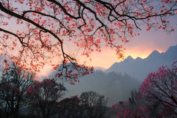 1759976698691146.jpg 5 (1).jpg