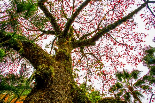 1759976706624349.jpg 6 (1).jpg