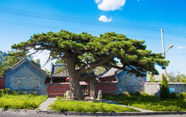 1759976714138503.jpg 7 (1).jpg