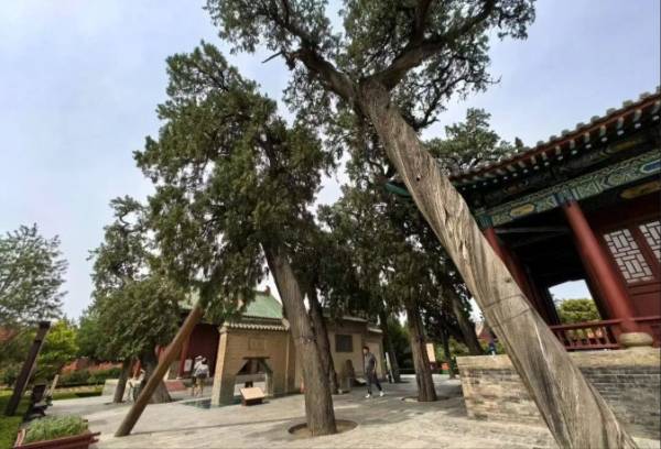 1759978379173209.jpg 2.jpg