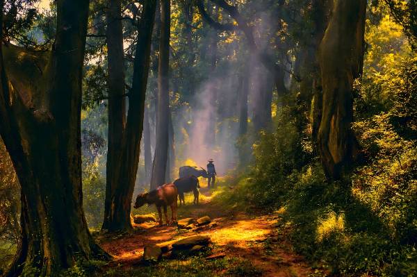 1759978385858441.jpg 3.jpg