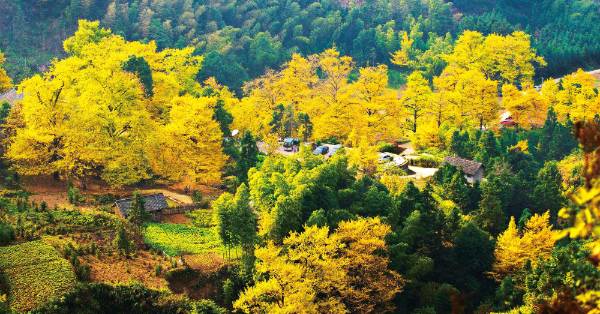 1759978401976768.jpg 5.jpg