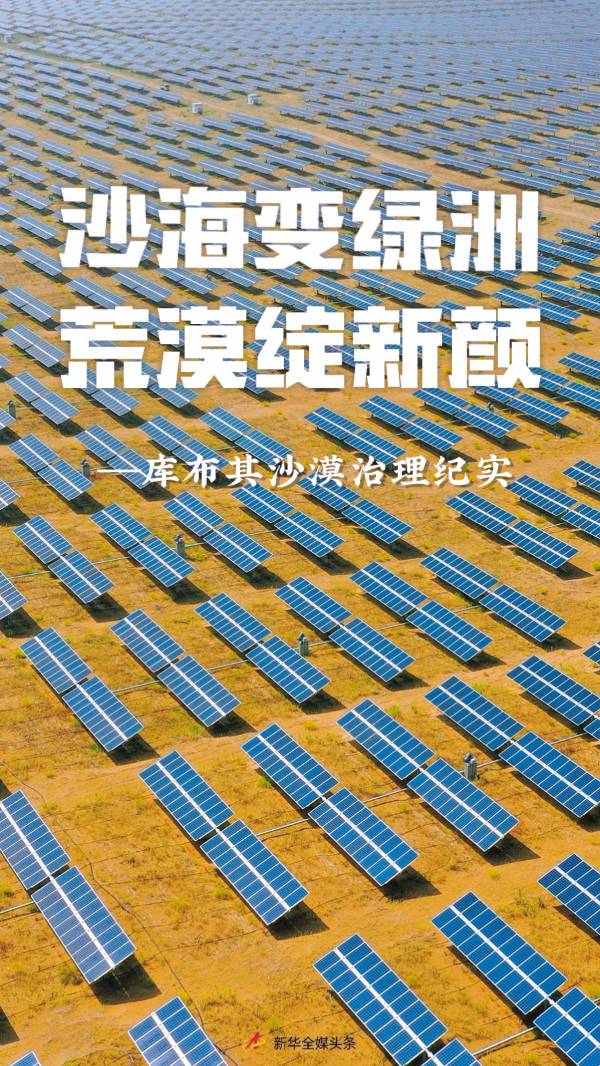 1759979019346536.jpeg 1.jpeg