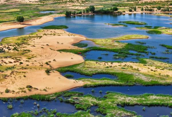 1759979113516184.jpeg 5.jpeg