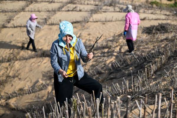 1759979148528434.jpeg 6.jpeg