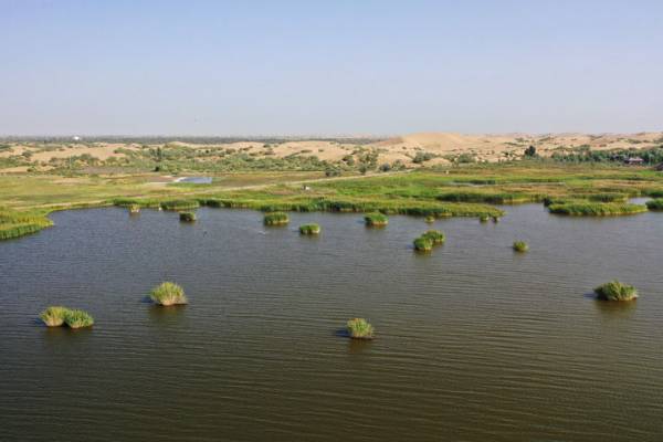 1759979164716539.jpeg 7.jpeg