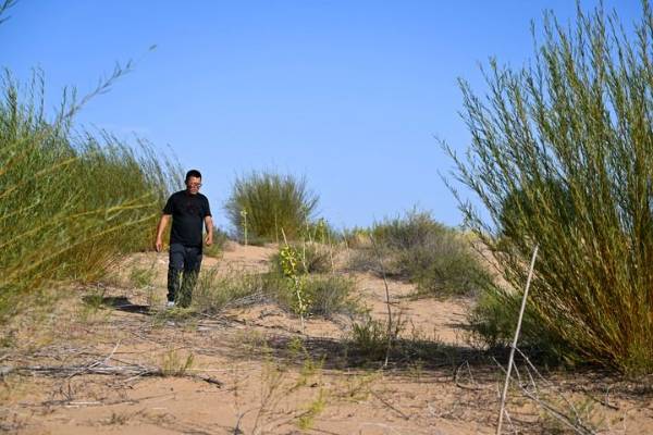 1759979175355666.jpeg 8.jpeg