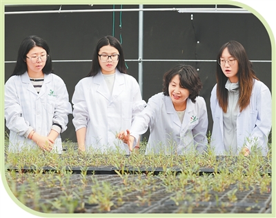 1759979520882913.jpg 1.jpg