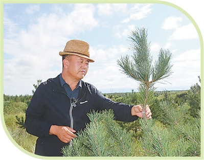 1759979530880224.jpg 2.jpg