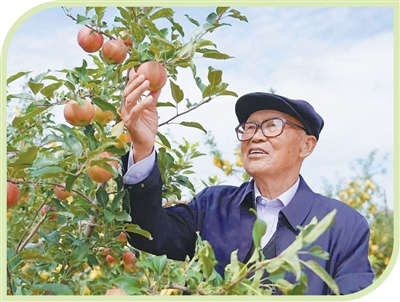 1759979539919816.jpg 3.jpg