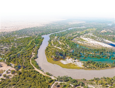 1759979547265747.jpg 4.jpg