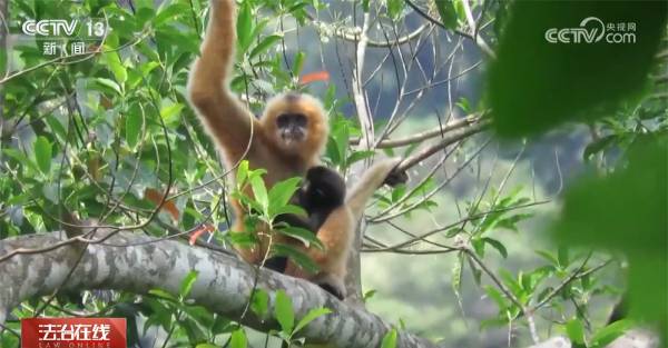 1759979873841370.jpg 1.jpg