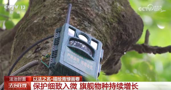 1759979881829462.jpg 2.jpg