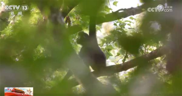 1759979900791001.jpg 3.jpg