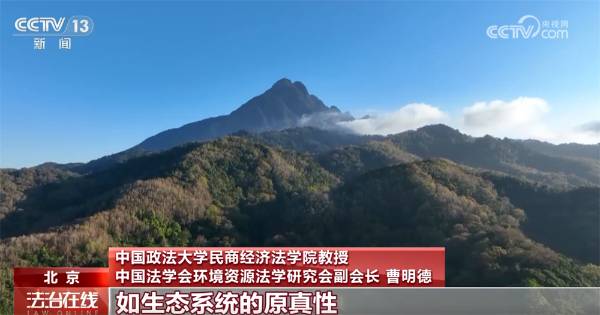 1759979909921647.jpg 4.jpg