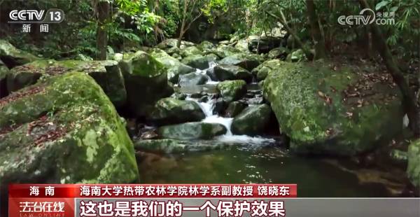 1759979925425806.jpg 5.jpg