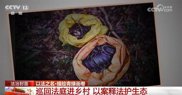 1759979935250975.jpg 6.jpg