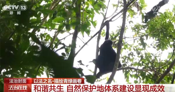 1759979960666374.jpg 9.jpg