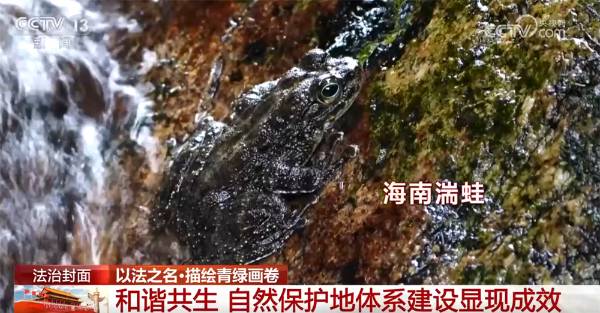 1759979967668491.jpg 10.jpg