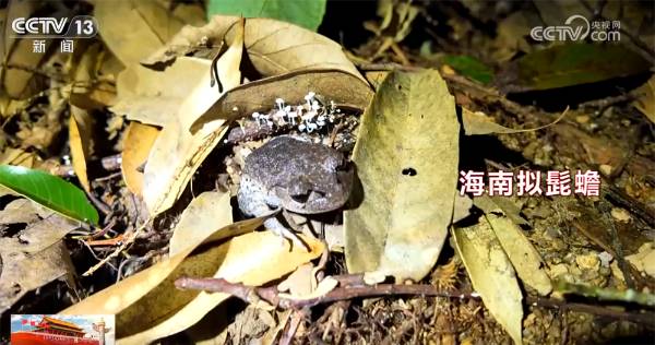 1759979975661528.jpg 11.jpg