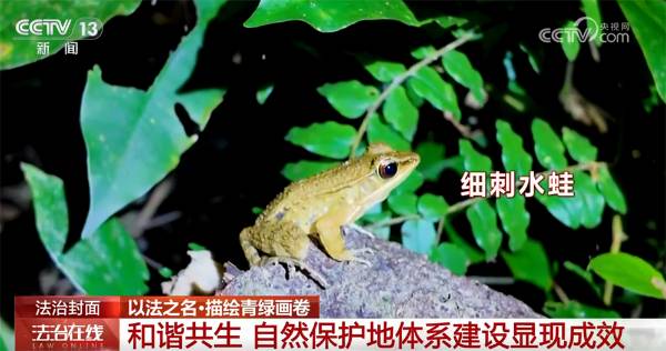 1759979981571386.jpg 12.jpg