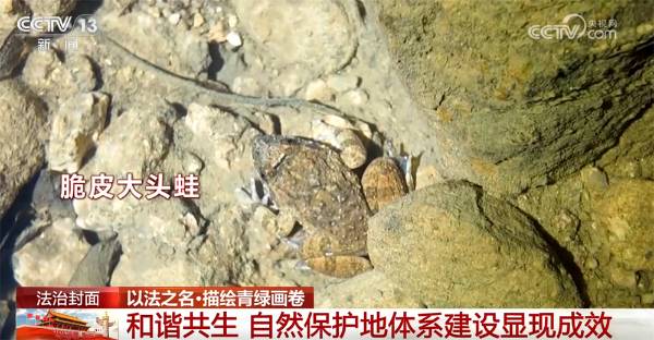 1759979990240230.jpg 13.jpg