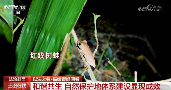 1759979998646139.jpg 14.jpg