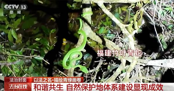 1759980004635066.jpg 15.jpg