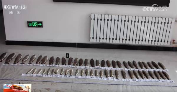 1759980043491184.jpg 19.jpg