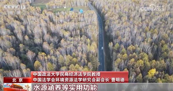 1759980054151238.jpg 20.jpg