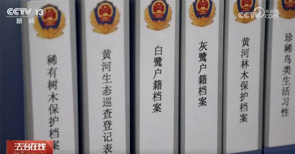 1759980091693233.jpg 23.jpg