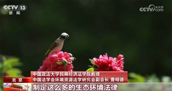 1759980103763553.jpg 24.jpg