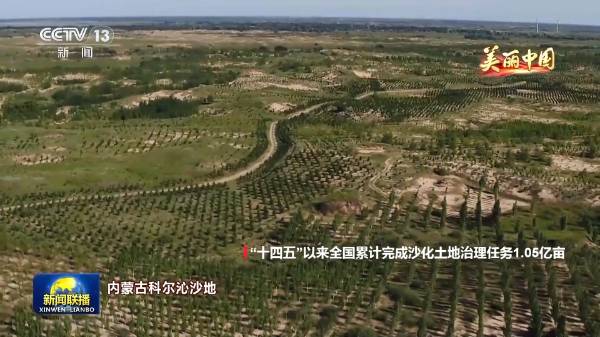 1760067225105556.jpg 2.jpg