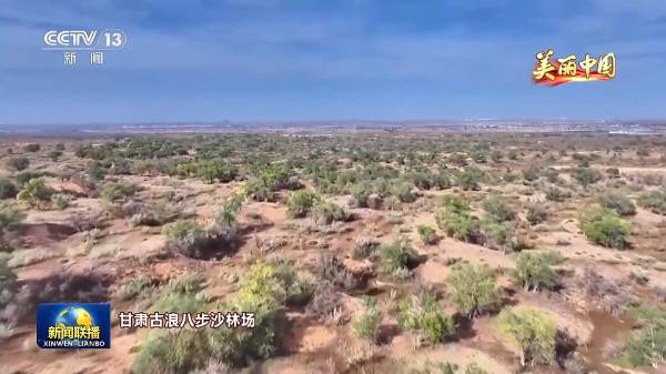 1760067238798750.jpg 4.jpg