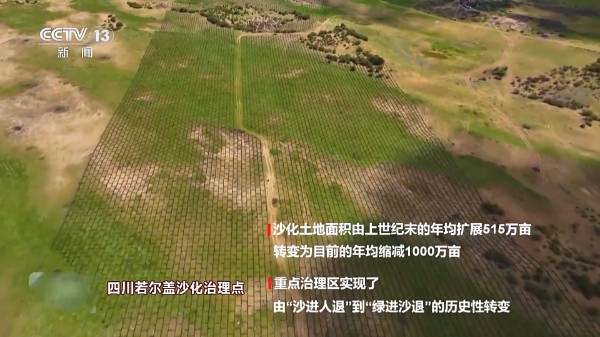 1760067264805539.jpg 8.jpg