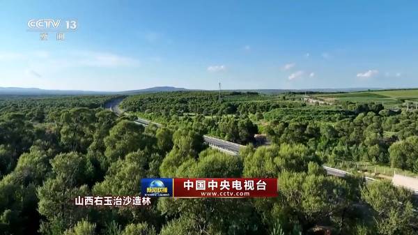 1760067273305200.jpg 9.jpg