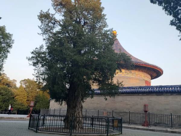 1760075742325752.png 1.png