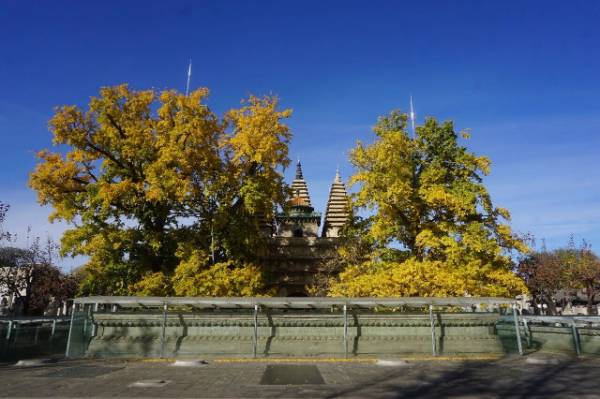 1760075769463965.jpg 3.jpg