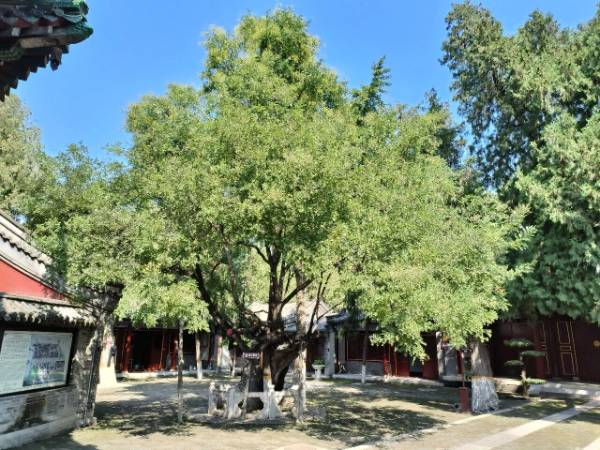 1760075782264119.jpg 5.jpg