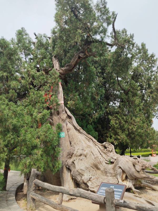 1760075813546676.jpg 9.jpg