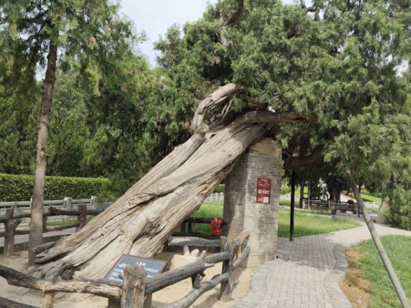 1760075817772138.jpg 10.jpg