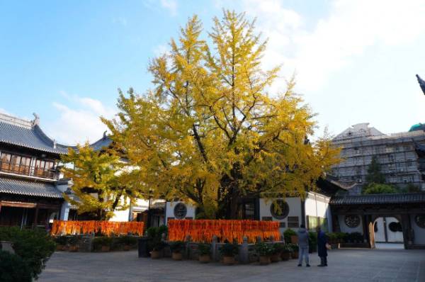 1760075827366070.jpg 11.jpg