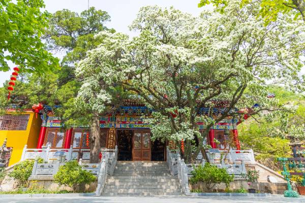 1760075851188352.jpg 12.jpg